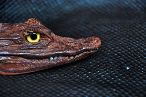 Голова Крокодильчика Материал: Натуральная голова крокодильчика