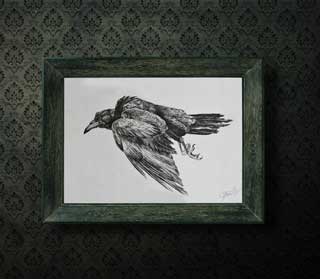 Ворон Туш, перо. Автор: Татьяна Комарчук