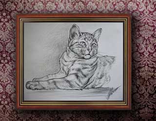 Кот Василий Карандаш. Автор: Татьяна Комарчук