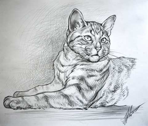 Кот Василий Карандаш. Автор: Татьяна Комарчук