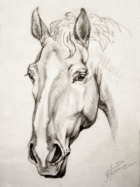 Русский тяжеловоз Жора Карандаш. Автор: Татьяна Комарчук