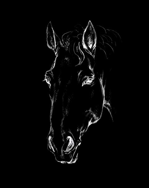 Русский Тяжеловоз Жора Туш, перо. Автор: Татьяна Комарчук