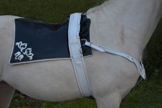 Амуниция для пони в сборе: Нагрудник, нахвостник, гурта с ручками, уздечка повод Материал: Натуральная кожа, фурнитура, кристаллы сваровски. Автор и мастер: Георгий Бацазов