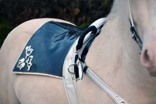 Амуниция для пони в сборе: Нагрудник, нахвостник, гурта с ручками, уздечка повод Материал: Натуральная кожа, фурнитура, кристаллы сваровски. Автор и мастер: Георгий Бацазов