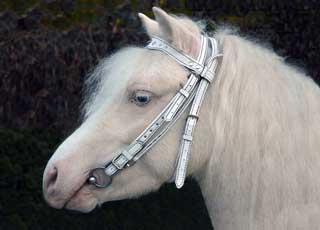 Амуниция для пони в сборе: Нагрудник, нахвостник, гурта с ручками, уздечка повод Материал: Натуральная кожа, фурнитура, кристаллы сваровски. Автор и мастер: Георгий Бацазов