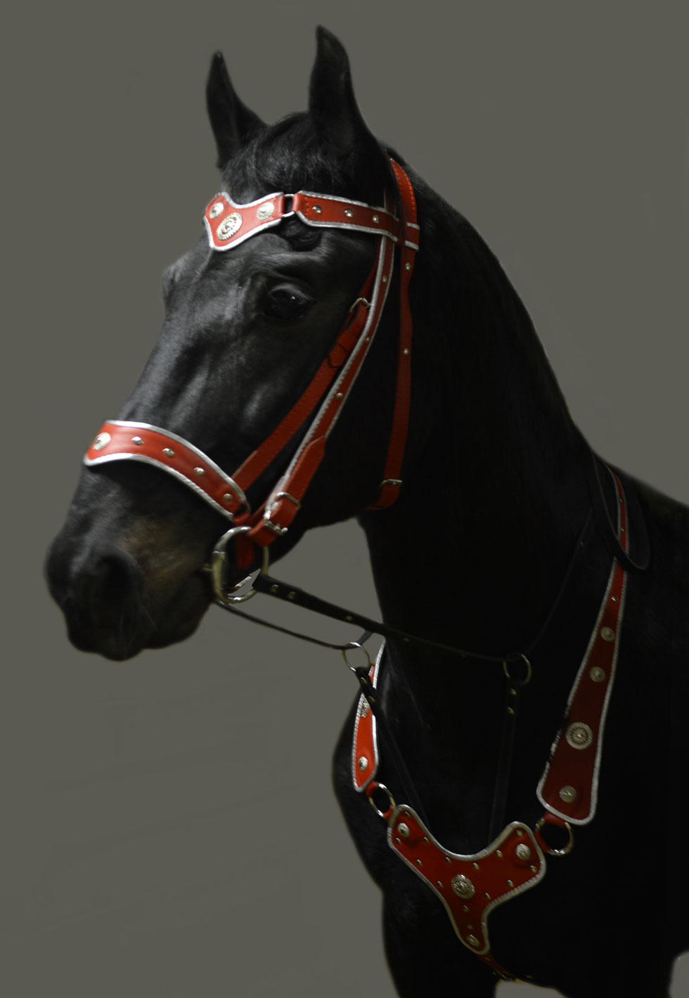 Парадная сбруя Нагрудник, нахвостник, уздечка повод Материал: Натуральная кожа, фурнитура. Автор и мастер: Георгий Бацазов