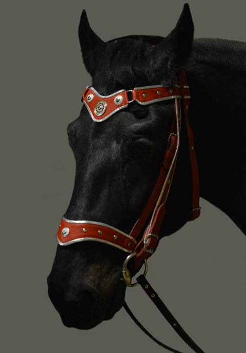 Парадная сбруя Нагрудник, нахвостник, уздечка повод Материал: Натуральная кожа, фурнитура. Автор и мастер: Георгий Бацазов