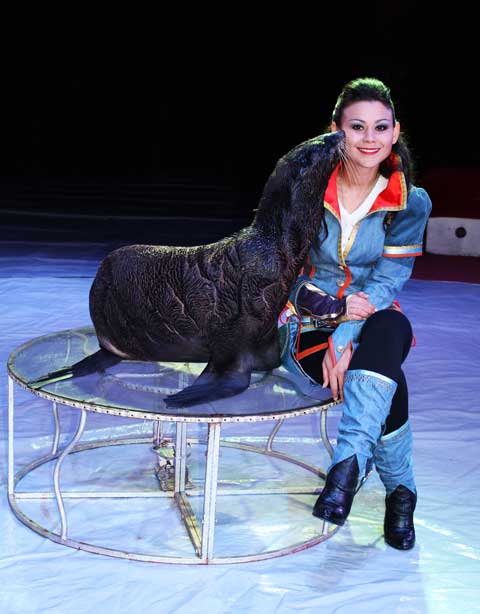 Машина Времени Декорации для квестов