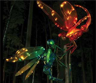 Скульптура: Стрекозы. Материал: Металл, пластик, патина, дерево, светодиоды Автор: Татьяна Комарчук